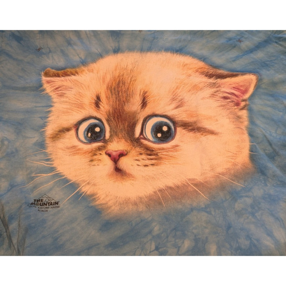 The Mountain Cat Short Sleeve T-Shirt Tye Die Blue XL EUC - Picture 6 of 6